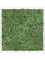 Moss Painting Aluminum 100% Reindeer moss (Moss green) - Foto 57394