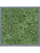 Moss Painting MDF RAL 7016 Satin Gloss 100% Reindeer moss (Moss green) - Foto 57408