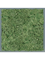 Moss Painting MDF RAL 7016 Satin Gloss 100% Reindeer moss (Moss green) - Foto 57409