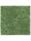 Moss Painting MDF RAL 9010 Satin Gloss 100% Reindeer Moss (Moss green) - Foto 57439