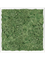 Moss Painting MDF RAL 9010 Satin Gloss 100% Reindeer Moss (Moss green) - Foto 57440