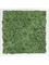 Moss Painting MDF RAL 9010 Satin Gloss 100% Reindeer Moss (Moss green) - Foto 57441