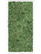 Moss Painting MDF RAL 9010 Satin Gloss 100% Reindeer Moss (Moss green) - Foto 57442