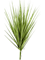 Grass Carex Bush Typ 2 - Foto 57687