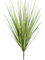 Grass Carex Bush Typ 2 - Foto 57689