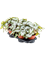 Begonia 'AsianTundra' 4/tray - Foto 58947
