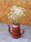 Xala Lungo Watering Can (8 ltr) - Foto 66104