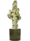 Euphorbia ingens marmorata in Cylinder - Foto 69767