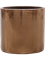 Dracaena fragrans 'Compacta' in Cylinder - Foto 69899