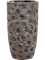 Strelitzia nicolai (120-160) in Baq Luxe Lite Universe Moon - Foto 71176