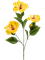 Hibiscus Spray x3 Yellow - Foto 76950