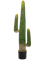 Mexican Cactus Toef (125 cm) - Foto 77031