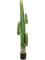 Mexican Cactus Toef (170 cm) - Foto 77032