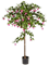 Fuchsia Umberella Tree (140 cm) - Foto 77068