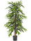 Longifolia Deluxe Tree (180 cm) - Foto 77092