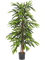 Longifolia Deluxe Tree (210 cm) - Foto 77093