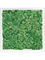 Moosbild MDF RAL 9010 Satin Gloss 100% Reindeer Moss (Grass green) - Foto 77173
