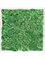 Moosbild MDF RAL 9010 Satin Gloss 100% Reindeer Moss (Grass green) - Foto 77175
