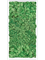 Moosbild MDF RAL 9010 Satin Gloss 100% Reindeer Moss (Grass green) - Foto 77176