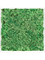 Moosbild MDF RAL 9010 Satin Gloss 100% Reindeer Moss (Grass green) - Foto 77177