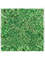 Moosbild MDF RAL 9010 Satin Gloss 100% Reindeer Moss (Grass green) 100-100-6 - Foto 77179