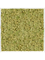 Moosbild MDF RAL 9010 Satin Gloss 100% Reindeer Moss (Old Green) 100-100-6 - Foto 77187