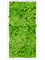 Moosbild MDF RAL 9010 Satin Gloss 100% Reindeer Moss (Light Grass Green) - Foto 77200