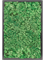 Moosbild MDF RAL 9005 Satin Gloss 100% Reindeer moss (Grass Green) 60-40-6 - Foto 77206