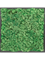 Moosbild MDF RAL 9005 Satin Gloss 100% Reindeer moss (Grass Green) - Foto 77207