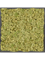 Moosbild MDF RAL 9005 Satin Gloss 100% Reindeer moss (Old Green) - Foto 77215