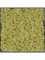 Moosbild MDF RAL 9005 Satin Gloss 100% Reindeer moss (Old Green) - Foto 77217