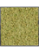 Moosbild MDF RAL 9005 Satin Gloss 100% Reindeer moss (Old Green) - Foto 77219