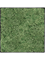 Moosbild Nova Frame Anthracite-concrete 100% Reindeer Moss (Moss green) - Foto 77514