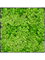 Moosbild Nova Frame Anthracite-concrete 100% Reindeer (Light Grass Green) - Foto 77518