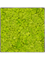 Moosbild Nova Frame Natural-concrete Reindeer moss (Spring green) 30-30-5 - Foto 77533