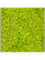Moosbild Nova Frame Antique White-concrete Reindeer moss (Spring green) 40-40-5 - Foto 77553