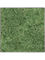 Moosbild Nova Frame Natural-concrete 100% Reindeer Moss (Moss green) 60-60-5 - Foto 77624