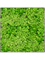 Moosbild Nova Frame Natural-concrete 100% Reindeer (Light Grass Green) - Foto 77628