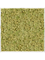 Moosbild Aluminum 100% Reindeer moss (Old Green) - Foto 77757