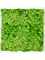 Moosbild Aluminum 100% Reindeer moss (Light Grass Green) - Foto 77775