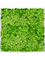 Moosbild Aluminum 100% Reindeer moss (Light Grass Green) - Foto 77777