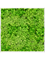 Moosbild Aluminum 100% Reindeer moss (Light Grass Green) - Foto 77779