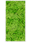 Moosbild Aluminum 100% Reindeer moss (Light Grass Green) - Foto 77781