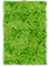 Moosbild Aluminum 100% Reindeer moss (Light Grass Green) 120-80-6 - Foto 77782