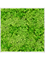 Moosbild Aluminum 100% Reindeer moss (Light Grass Green) 120-120-6 - Foto 77783