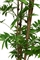 Bamboo - Bambus Kunstpflanze 152 cm, getopft - Foto 80488