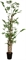 Bamboo - Bambus Kunstpflanze 152 cm, getopft - Foto 80489