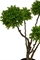 Buchsbaum Kugeln auf Stamm Kunstpflanze 91 cm, getopft - Foto 80493