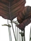 Calathea - Korbmarante Kunstpflanze, 90 cm - Foto 80496