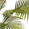 Dattelpalme - Phoenix Palme Kunstpflanze 142 cm - Foto 80500